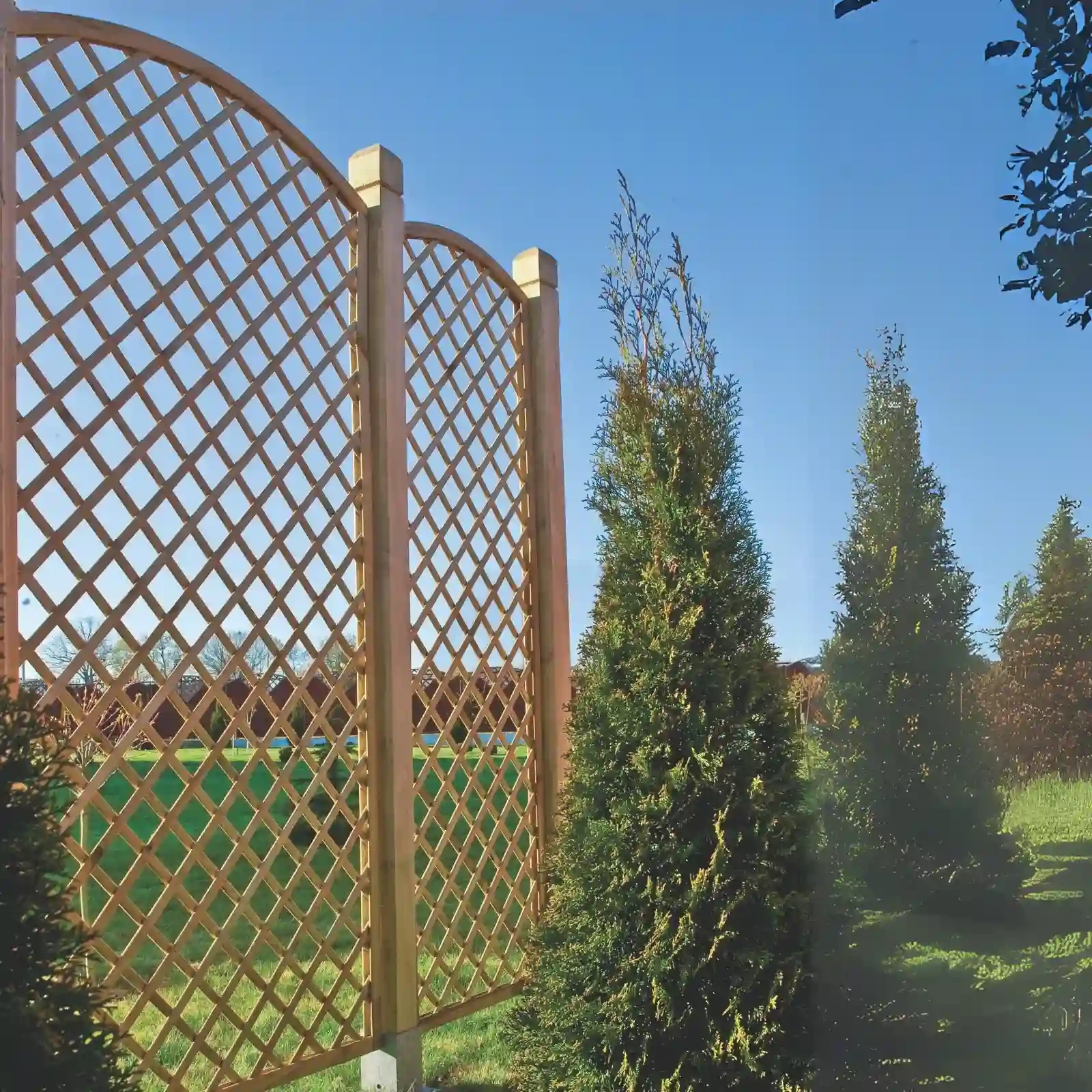 Traliccio Inglese Convesso h163/183/163 x 183 cm