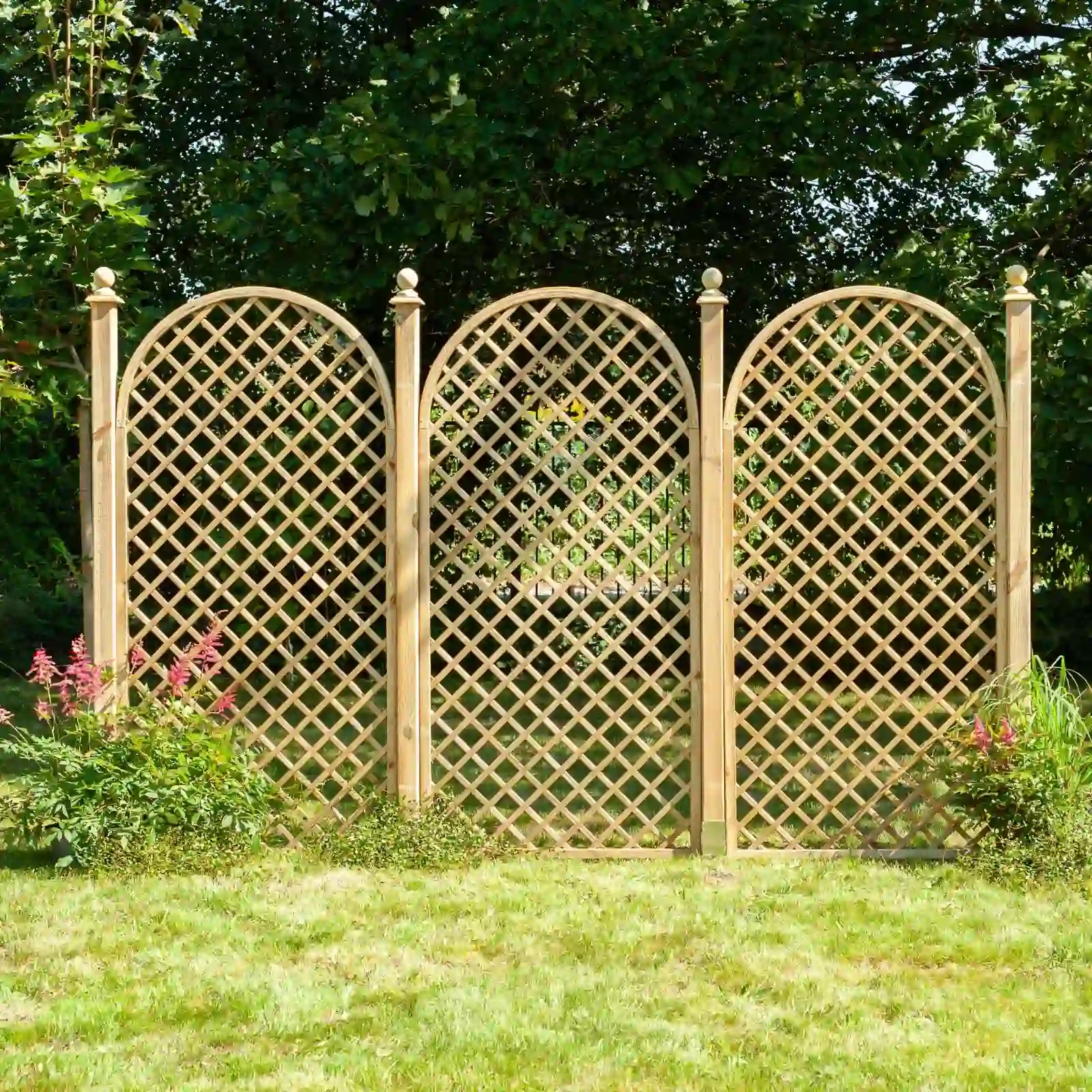 Traliccio Rosa h135/183/135 x 90 cm