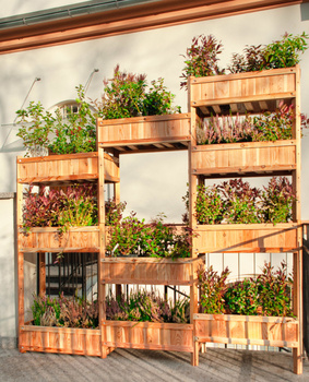 Sollevato Orto a balcone o terrazzo